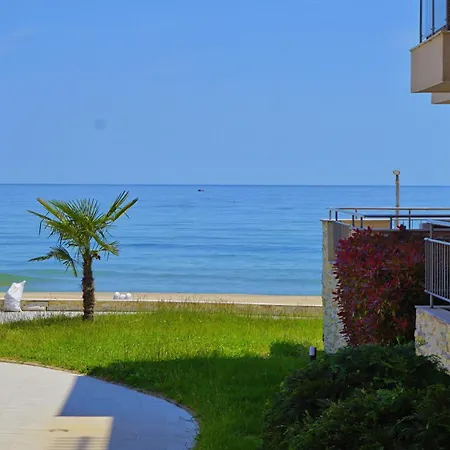 C - бийч с * Obzor